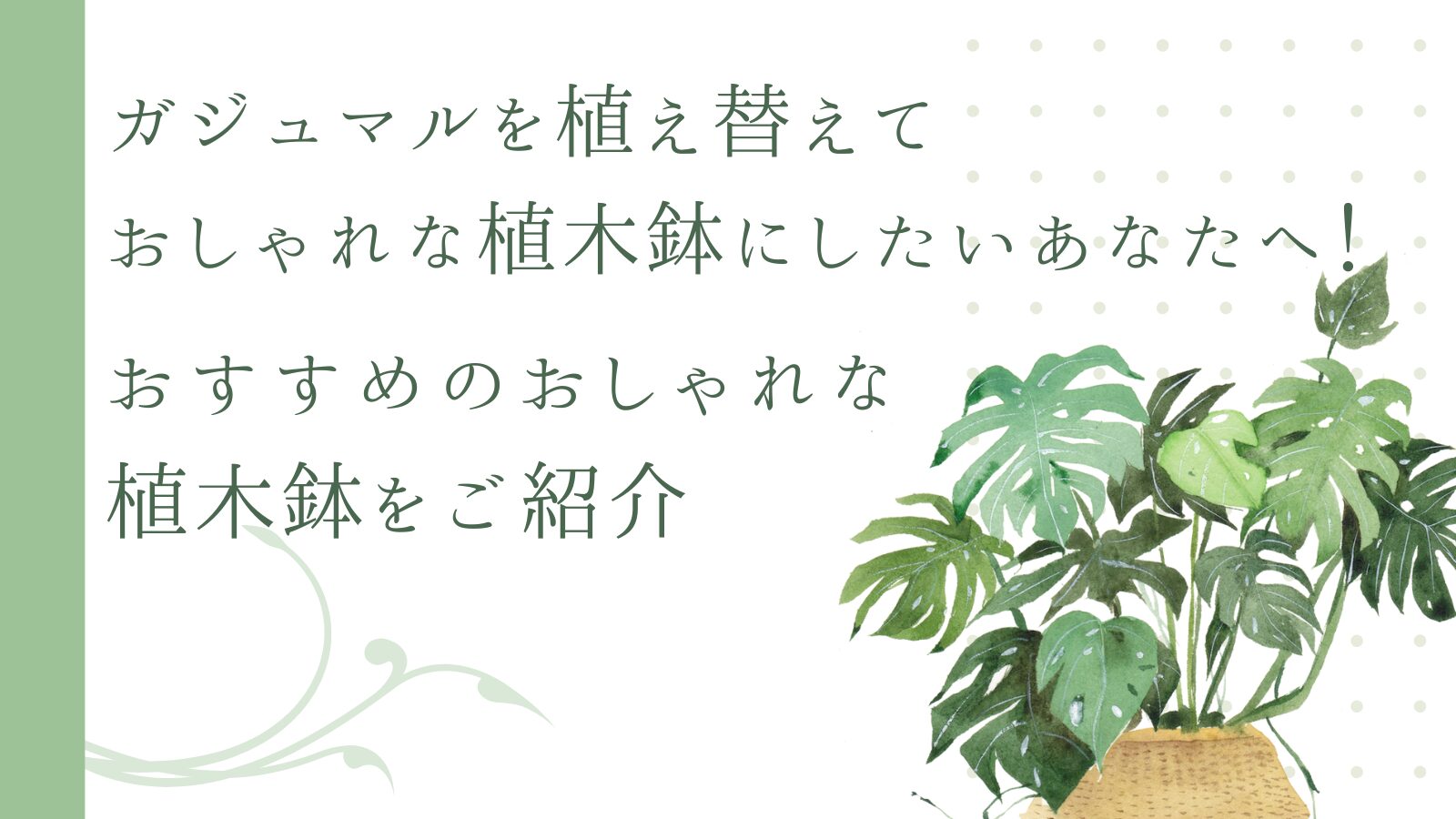ガジュマルを植え替えておしゃれな植木鉢にしたいあなたへ!おすすめのおしゃれな植木鉢をご紹介