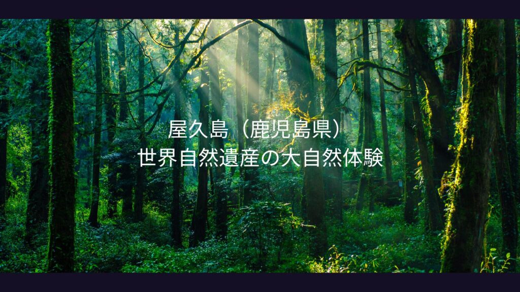 屋久島(鹿児島県)世界自然遺産の大自然体験