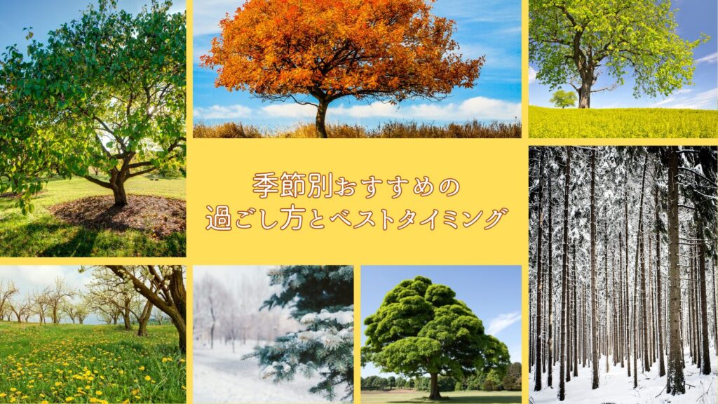 季節別おすすめの過ごし方とベストタイミング