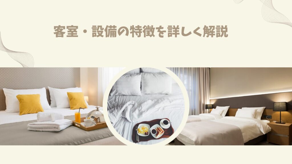 客室・設備の特徴を詳しく解説